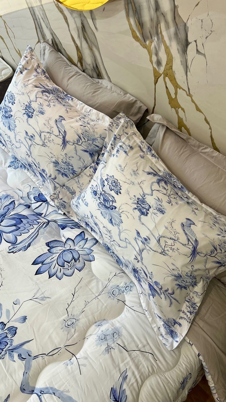 2 عدد روبالشتی طوسی